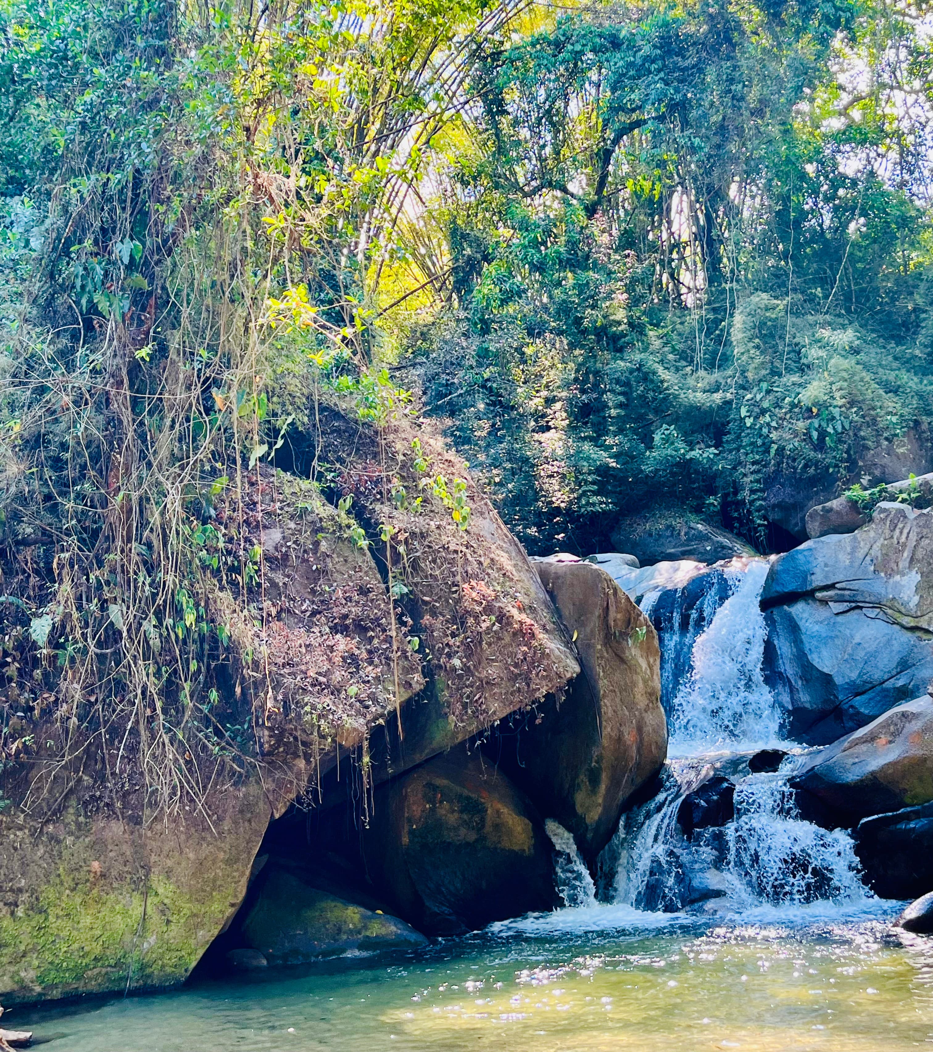 Hilde Bolt in de natuur