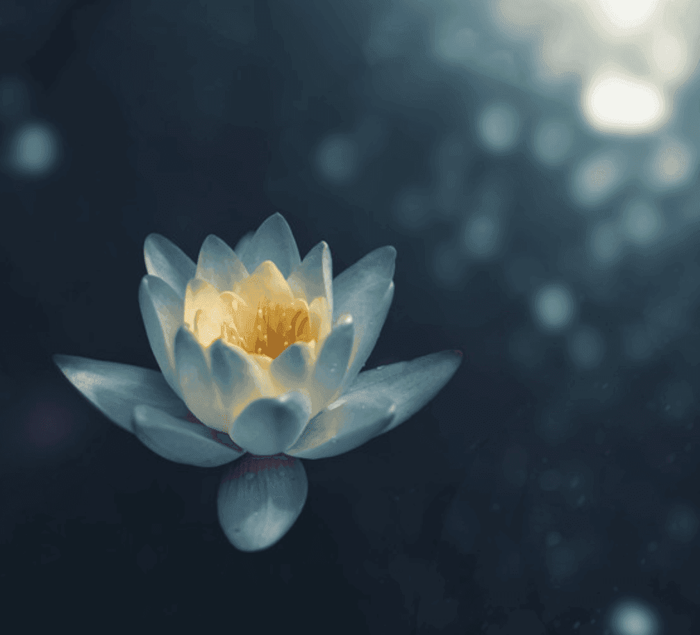 Ademruimte â Van reactiviteit naar respons- flexibiliteit